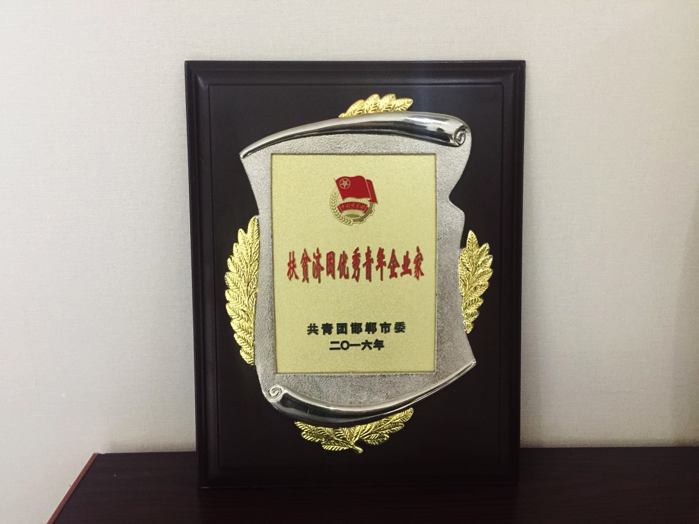 扶贫济困优秀青年企业家